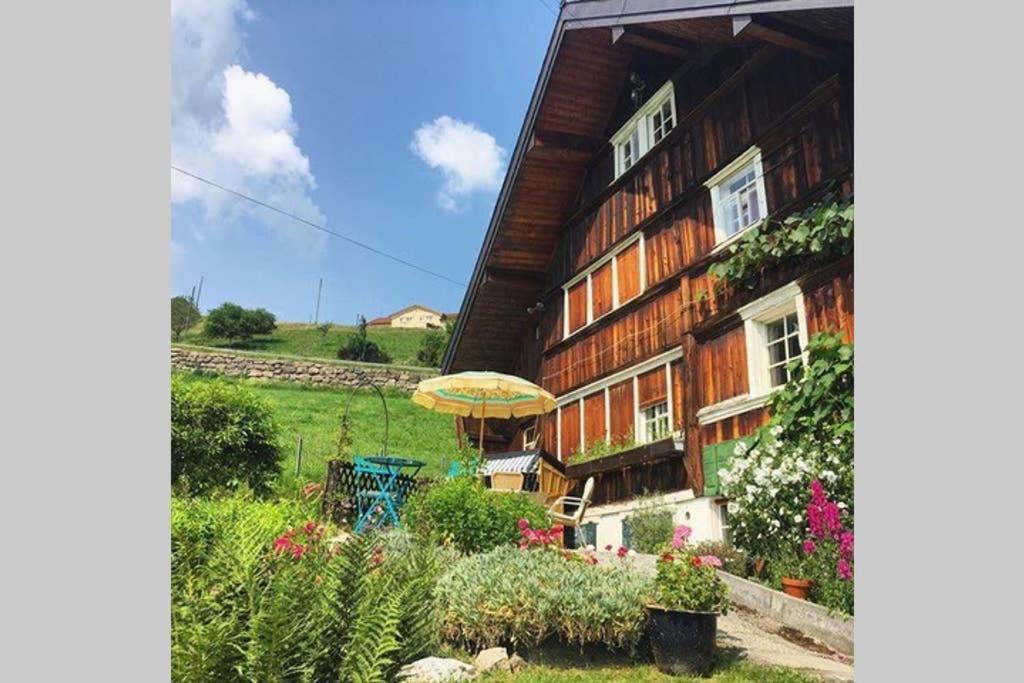 Apartmán Gemutliches Ferienstudio Heiden Exteriér fotografie